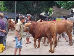 Peternak dan Pedagang Ternak Wajib Miliki Surat Keterangan Kesehatan Hewan (SKKH)
