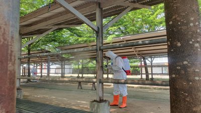 Cegah PMK! Pemkab Tulungagung Semprotkan Desinfektan ke Pasar Hewan Terpadu