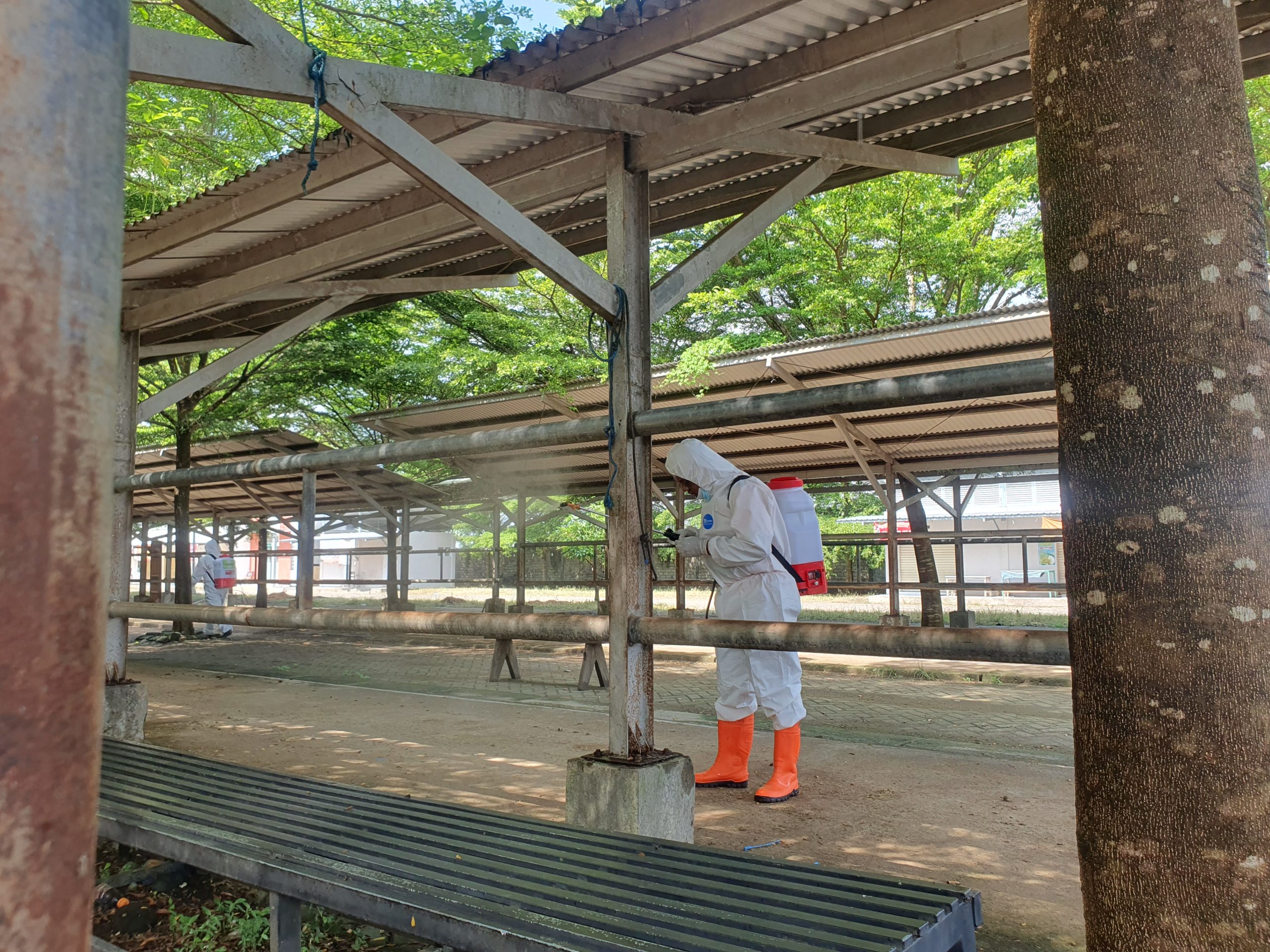 Cegah PMK! Pemkab Tulungagung Semprotkan Desinfektan ke Pasar Hewan Terpadu