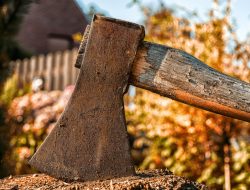 Dilarang Jual Pohon Sengon, Seorang Pria Cangkul Anak Tiri!