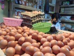 Harga Telur di Tingkat Peternak Turun ke Rp 20 Ribu per Kilogram di Awal 2025