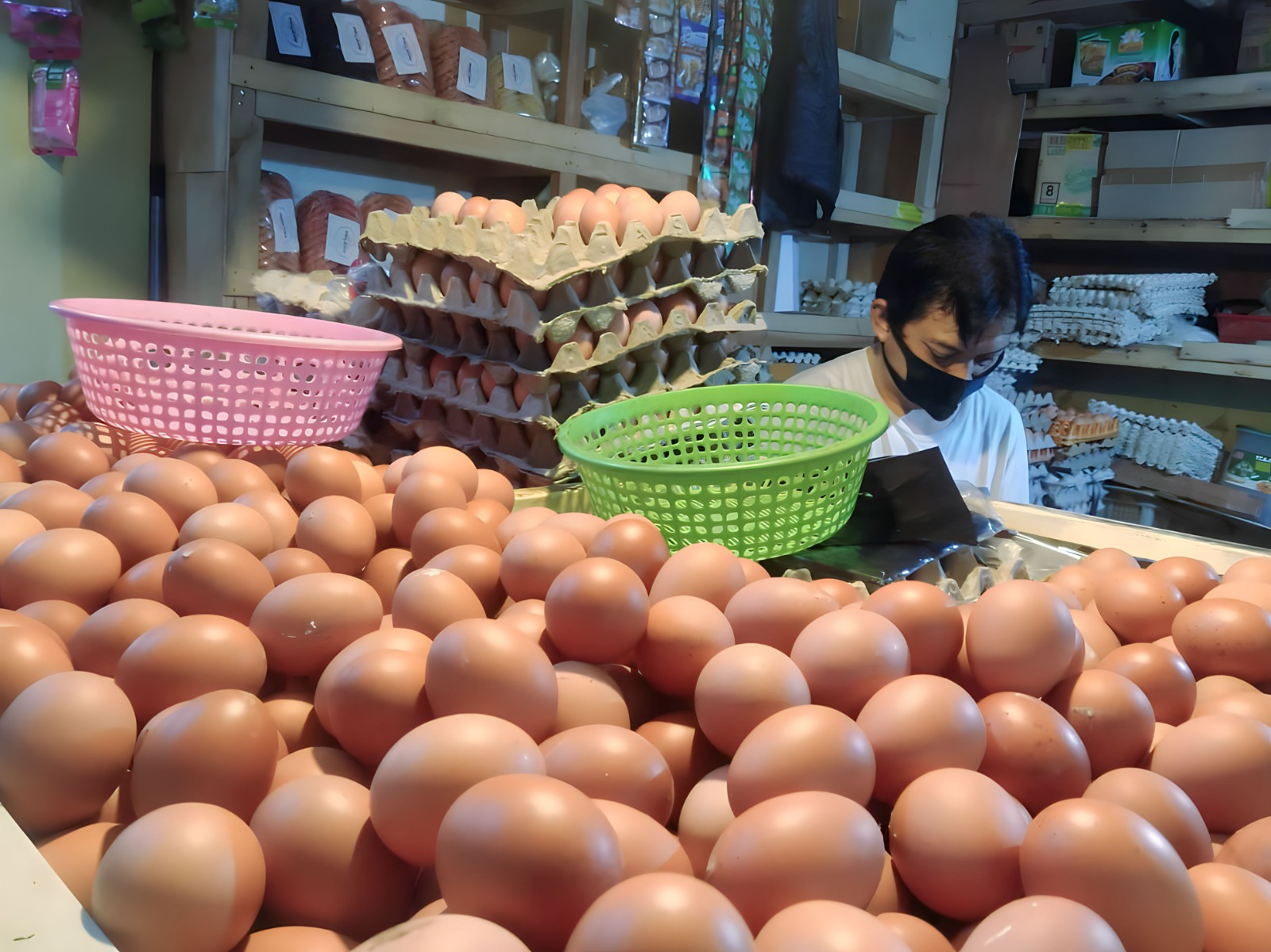 Harga Telur di Tingkat Peternak Turun ke Rp 20 Ribu per Kilogram di Awal 2025