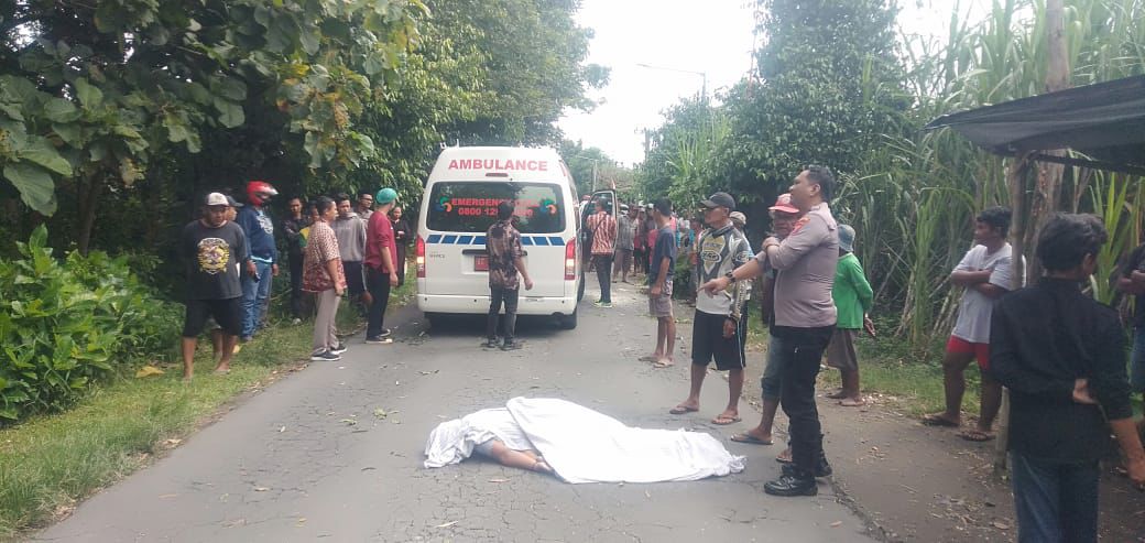 Pelajar Asal Jombang Tewas Tertimpa Pohon Sengon di Kediri