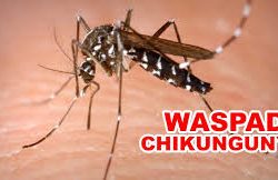 Waspada Chikungunya di Blitar, Puluhan Warga Terjangkit di Awal Tahun 2025