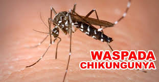 Waspada Chikungunya di Blitar, Puluhan Warga Terjangkit di Awal Tahun 2025