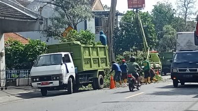 Pemkot Kediri Pangkas Pohon untuk Tingkatkan Keamanan Jalan Raya