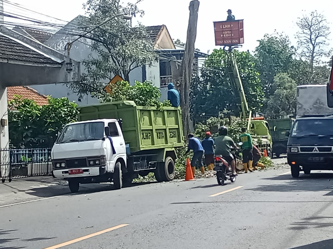 Pemkot Kediri Pangkas Pohon untuk Tingkatkan Keamanan Jalan Raya