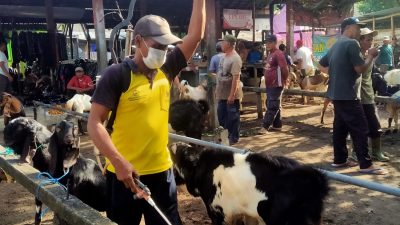 Cegah Wabah PMK, Pemkot Kediri Giat Lakukan Penyemprotan Disinfektan di Pasar Hewan