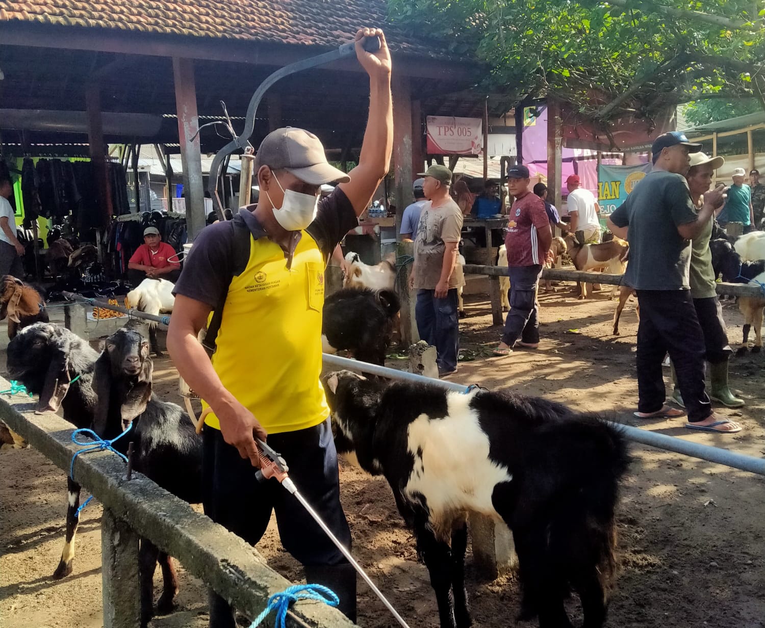 Cegah Wabah PMK, Pemkot Kediri Giat Lakukan Penyemprotan Disinfektan di Pasar Hewan