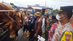 Polisi dan Disperta Pantau Pasar Hewan di Kecamatan Bagor, Antisipasi Penyebaran PMK