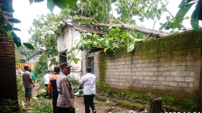 BPBD Kabupaten Blitar Imbau Warga Pangkas Pohon Rawan Roboh Selama Puncak Musim Hujan