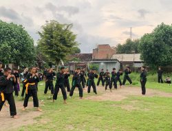 Pagar Nusa Singonegaran Latih Pendekarnya dengan Fokus pada Mental dan Fisik