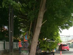 Tim Rabas ULP Ngadiluwih Intensifkan Pembersihan Jaringan di Area Alun-Alun Kediri