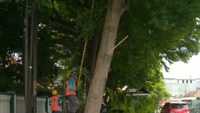 Tim Rabas ULP Ngadiluwih Intensifkan Pembersihan Jaringan di Area Alun-Alun Kediri