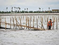 Polda Jatim Selidiki Sertifikat Hak Guna Bangunan di Perairan Sidoarjo