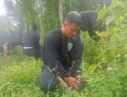 PSHT Ranting Mojoroto Tanam 700 Pohon di Lembah Sumber Tretes, Perkuat Kepedulian terhadap Lingkungan