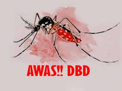 Setahun, Ribuan Kasus DBD di Blitar, 10 Warga Meninggal Dunia