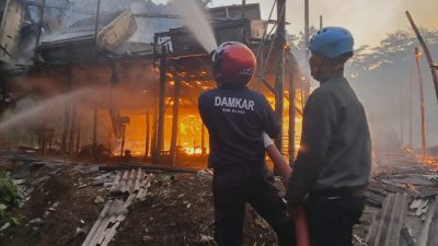 Korsleting Listrik, 120 Ribu Ayam di Kandang Terpanggang, Kerugian Capai Rp 10 Miliar