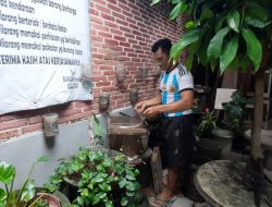 Pemuda Bongares Kembali Hidupkan Wisata Selfie 3D dengan Sensasi Hisap Madu Klanceng
