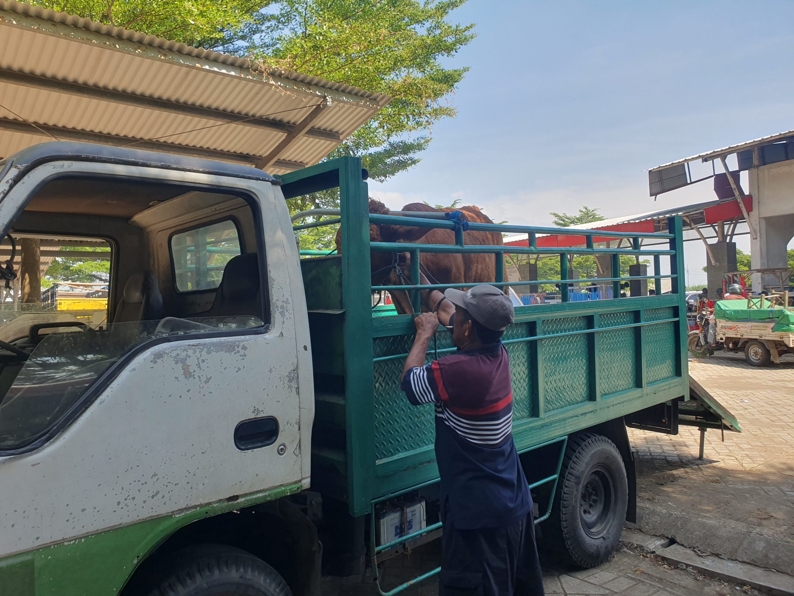 Dibuka Kembali Usai Kena PMK, Pasar Hewan Tulungagung Masih Sepi!