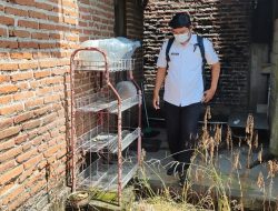 Siswa SD di Tulungagung Meninggal Akibat DBD, Dinkes Perketat Pengawasan