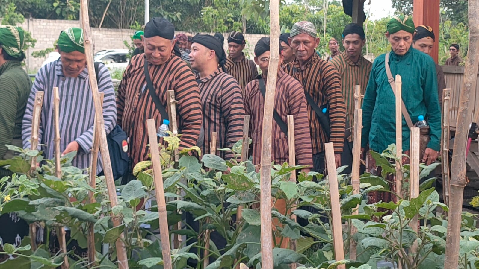 Pesantren Jati Diri Bangsa Gelar Pelatihan Ketahanan Pangan Gratis untuk 600 Peserta