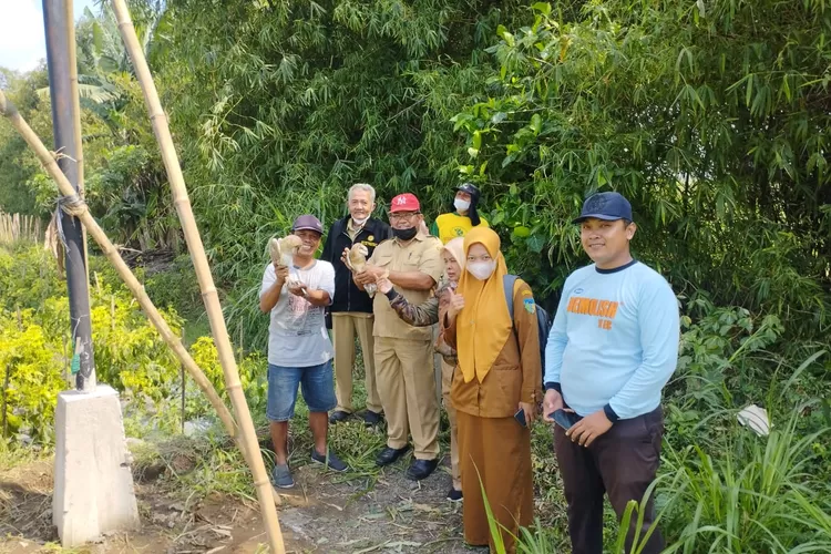 Tahan Segala Cuaca, Tito Alba Masih Jadi Andalan Petani Kendalikan Hama Tikus