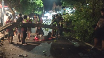 Tabrak Pohon Tumbang di Depan Pasar Bandar, Dua Warga Mojo Luka-Luka