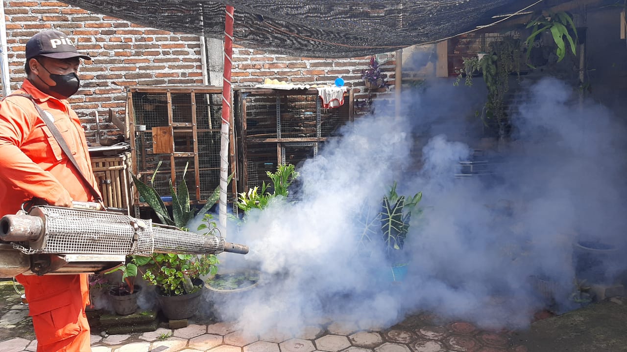 Kasus DBD di Tulungagung Masih Tinggi, Dinkes Pastikan Outbreak Tidak Terjadi