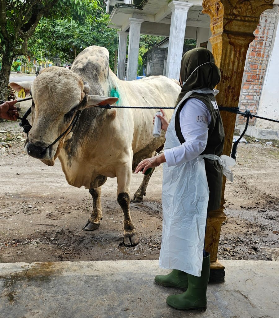 Angka Kesembuhan Ternak di Kabupaten Kediri Meningkat