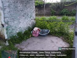 Fenomena Bayi Dibuang di Jombang Kian Marak, WCC Jombang Soroti Faktor KTD