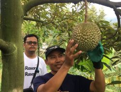 Sensasi Durian Premium di Wonosalam, Musangking Jadi Primadona Penikmat Durian!