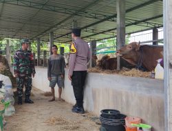 Bhabinkamtibmas Dampingi DKPP Kediri dalam Vaksinasi Ternak untuk Cegah PMK