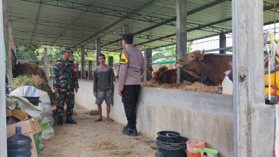 Bhabinkamtibmas Dampingi DKPP Kediri dalam Vaksinasi Ternak untuk Cegah PMK