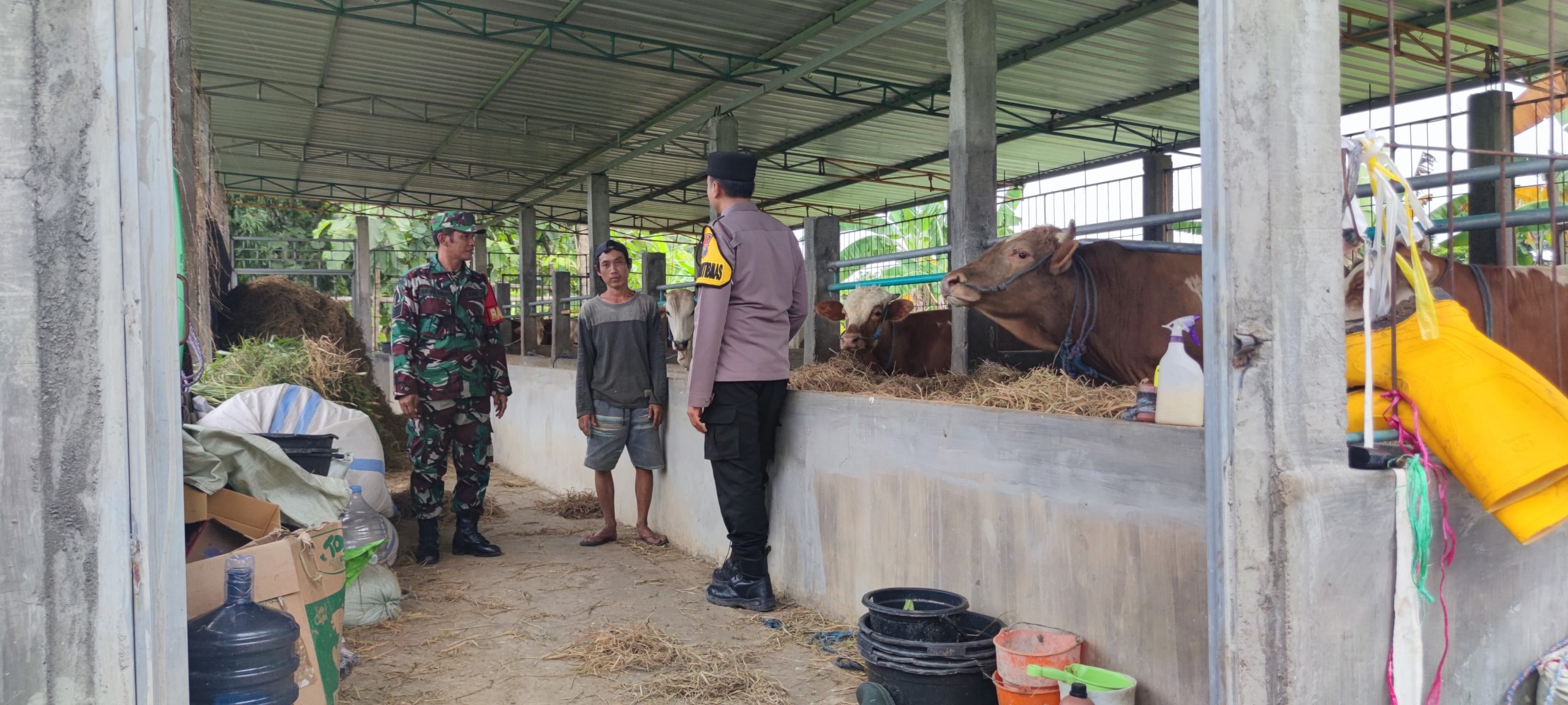 Bhabinkamtibmas Dampingi DKPP Kediri dalam Vaksinasi Ternak untuk Cegah PMK