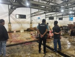 Cegah Penyebaran PMK, Polres Jombang Inspeksi Rumah Pemotongan Hewan