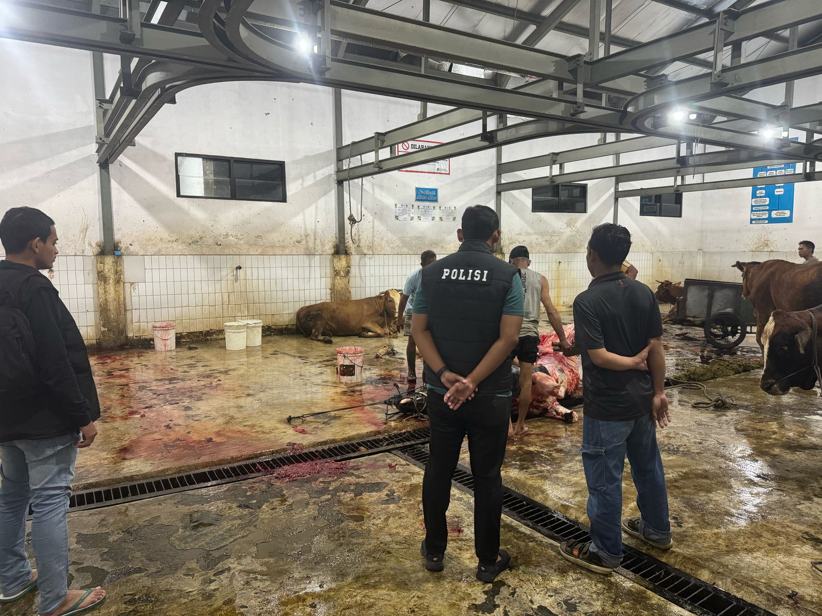 Cegah Penyebaran PMK, Polres Jombang Inspeksi Rumah Pemotongan Hewan