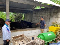 Program UPPO Pertanian 2022 di Desa Pacewetan Nganjuk Diduga Gagal, Ini Kondisinya