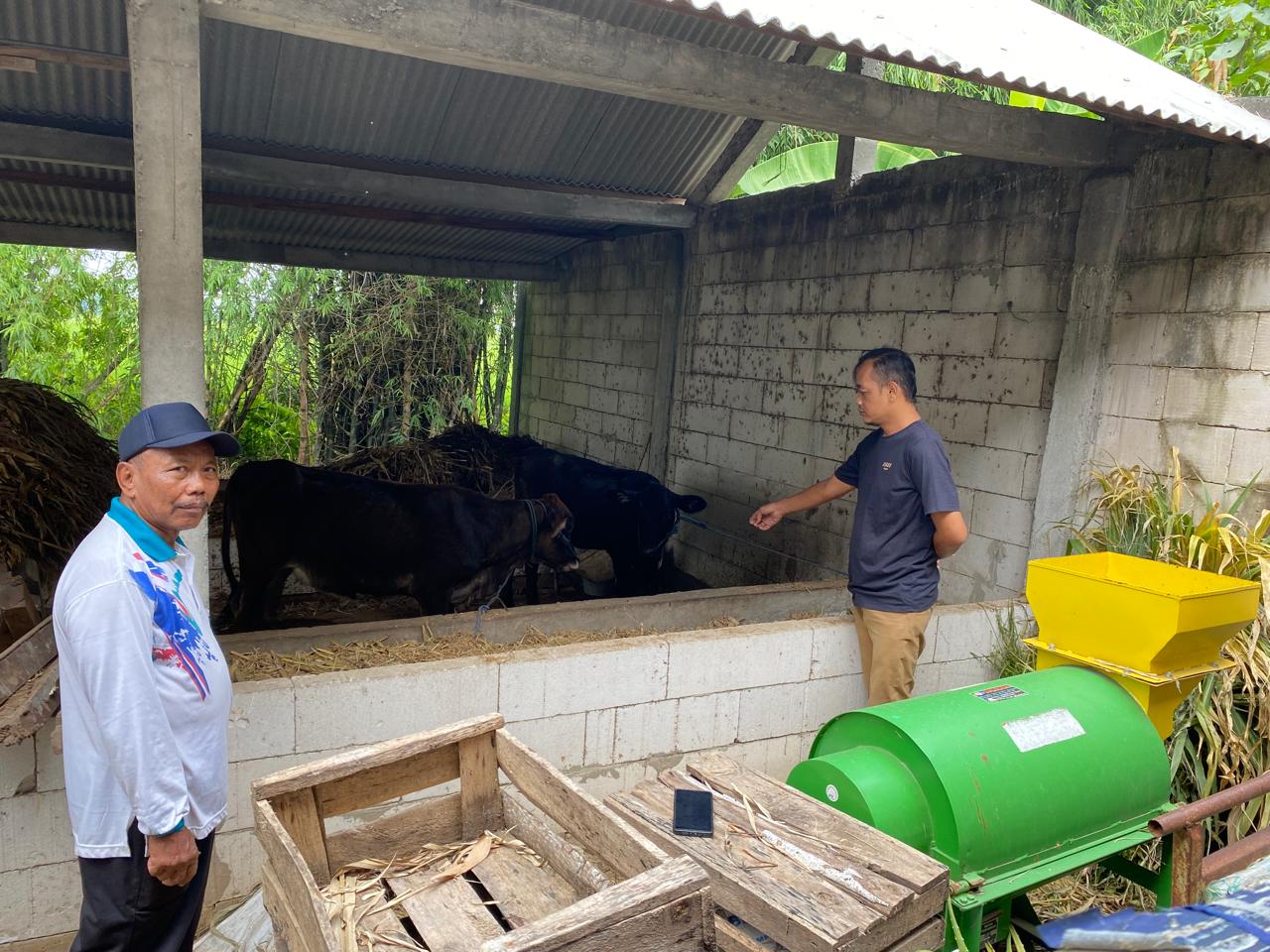 Program UPPO Pertanian 2022 di Desa Pacewetan Nganjuk Diduga Gagal, Ini Kondisinya