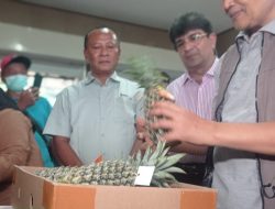 Ekspor Perdana Nanas Quin Simplex Kediri ke Arab Saudi, Langkah Awal Menuju Pasar Global