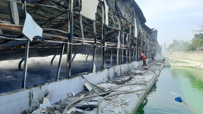 Total Kasus Kebakaran di Tulungagung Capai 103 Kasus pada Tahun 2024