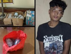Edarkan Bubuk Petasan, Pemuda 19 Tahun di Tulungagung Diringkus Polisi