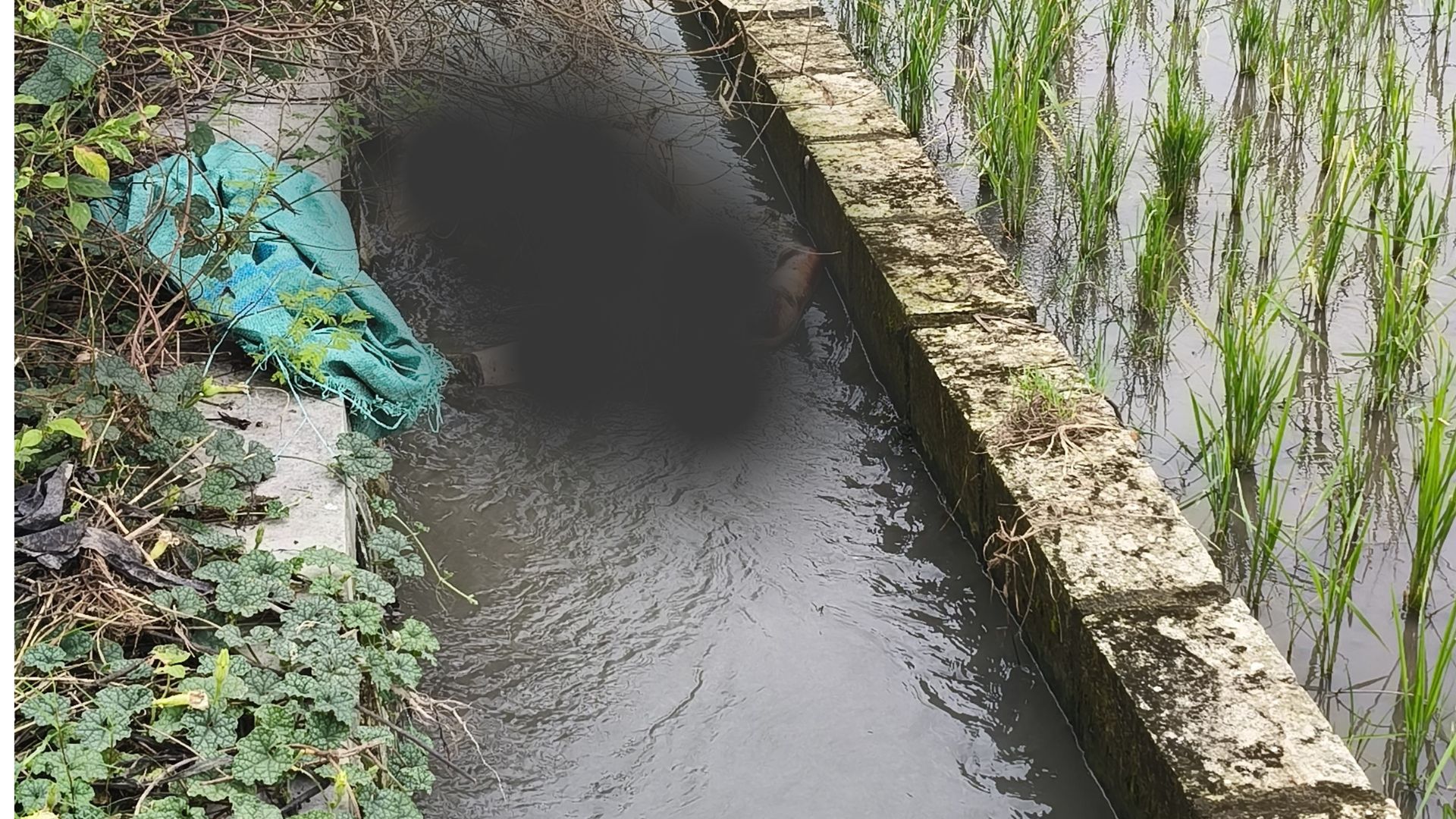 Warga Jombang Kembali Dihebohkan Mayat Tanpa Kepala Usai Penemuan Mayat Wanita di Sungai!