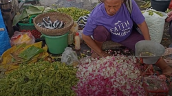 Menjelang Ramadan, Harga Bunga Mawar Meroket hingga Rp 300 Ribu per Kilogram