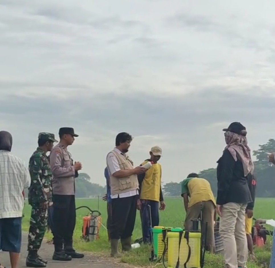 Sinergi TNI-Polri dan Petani di Kediri, Lakukan Penyemprotan Massal untuk Cegah Hama