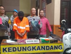 Gegara Miras, Pemuda Malang Nekat Curi Ratusan Butir Telur Ayam