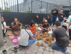 Grup Musik Sixtyseven Jualan Durian Murah, Warga Kediri Rela Antre Membeli