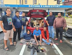 Sindikat Pencuri Kambing Diringkus, Gunakan Mobil Berkaca Gelap untuk Angkut Hewan Curian