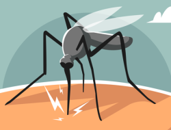 Tiga Kasus Malaria di Blitar dalam Dua Bulan, Pasien Punya Riwayat Tinggal di Daerah Endemik