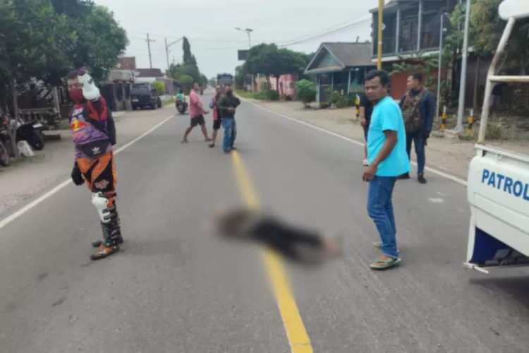 Kecelakaan Maut di Jalan Raya Kademangan, Satu Pengendara Meninggal Dunia